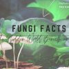 2021-Banner-2-Fungi-Facts.jpg