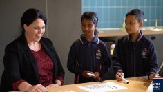 Numeracy – Multiplication Connections