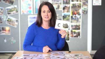 School Ready – Early Reading Skills