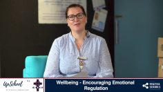 Wellbeing – Encouraging Emotional Regulation