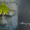 Buddha-Grey.jpg