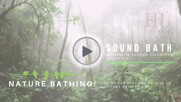 Nature-Bathing-Film-Banner.png